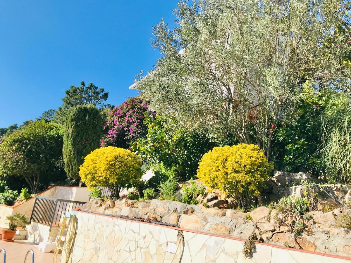 Mediterranean Villa Investingspain Sea View And Pool Lloret de Mar Eksteriør bilde